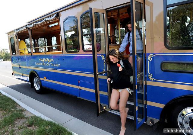 62246_electric-bus-trolley.jpg